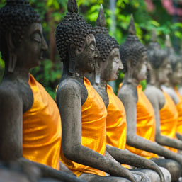 Buddhist Tour