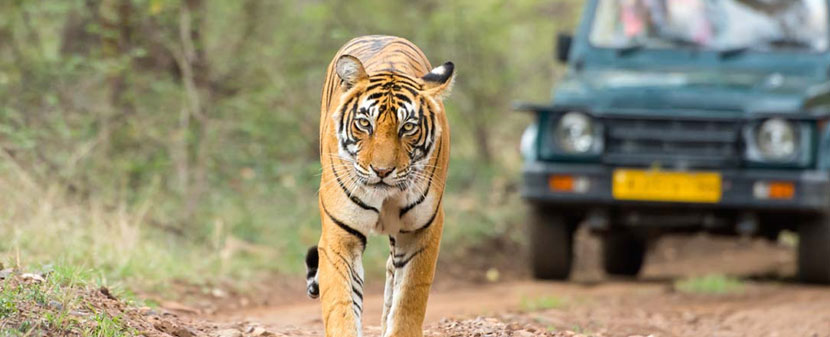 same day agra tour by 